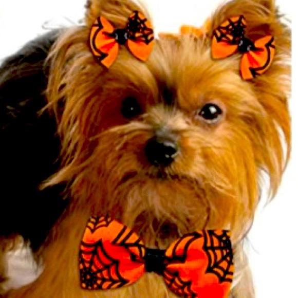 Other - Dog Halloween Bow Tie & Hair Bows